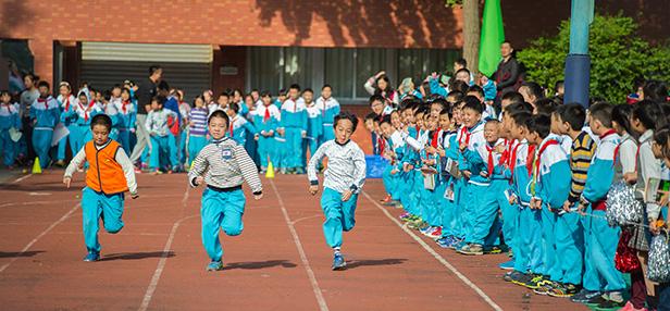 成都盐道街小学是五朵金花吗,成都5朵金花小学在哪里