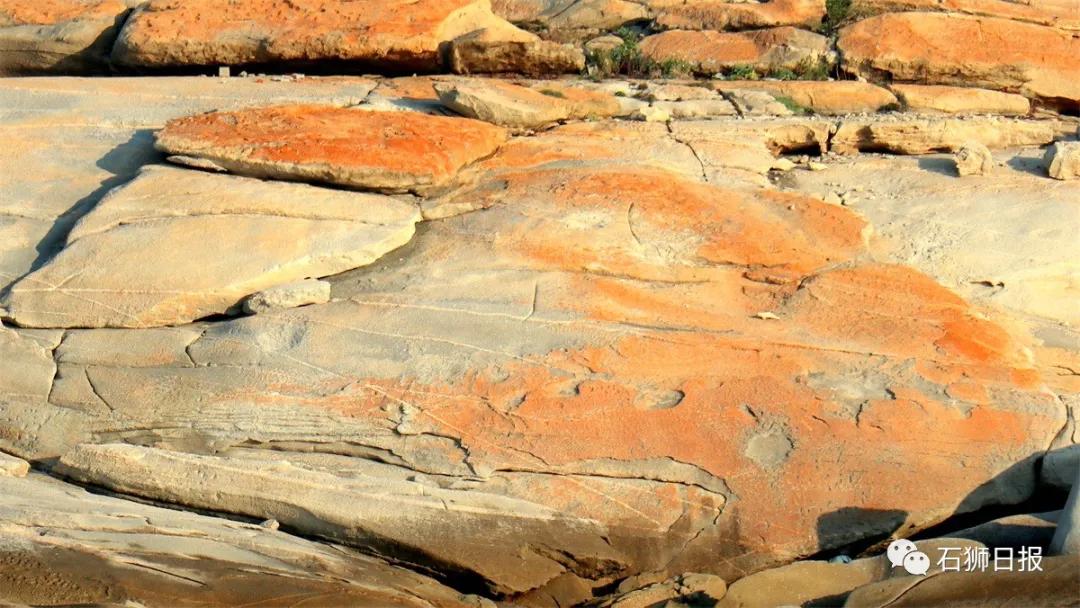 一片美丽的沙滩,石狮最美海滩