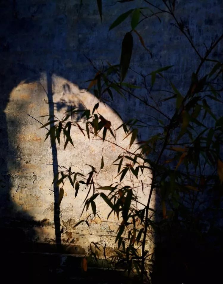 漫随天外云卷云舒免费,漫随天外云卷云舒抖音