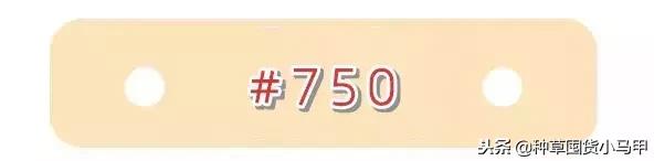 名创优品是骗子平台吗,名创优品有没有假的