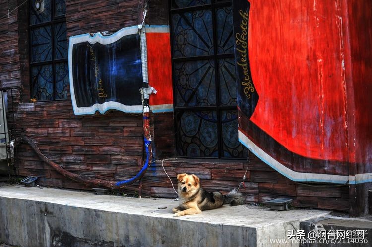 烟台所城里承载着多少回忆,烟台所城的来历