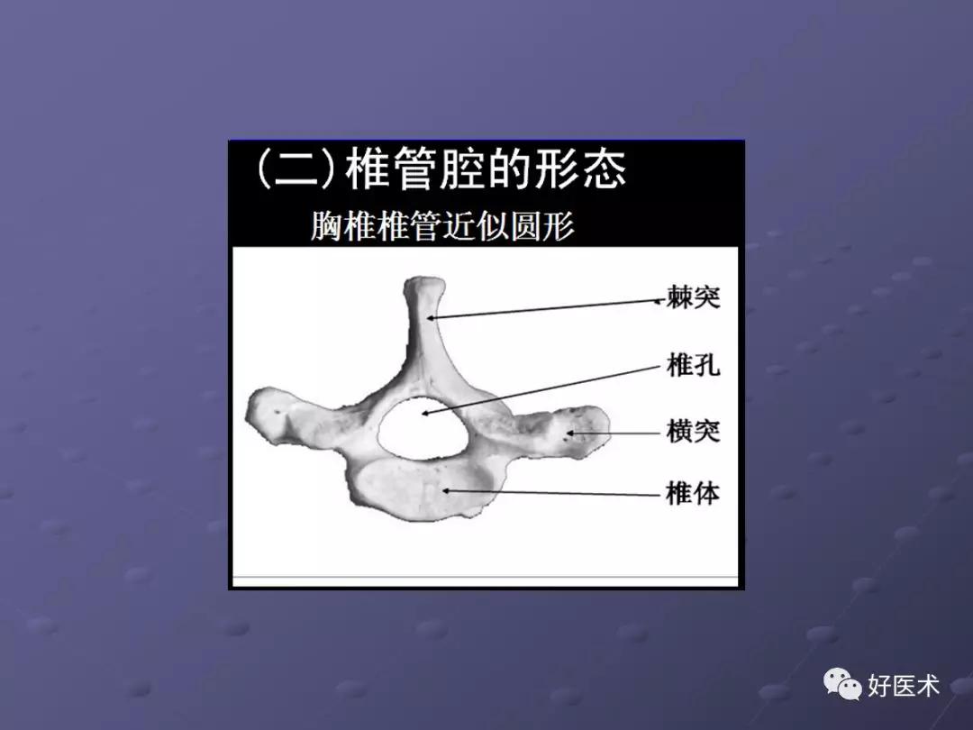 脊柱mri有哪些特点,乳腺疾病的mri诊断及鉴别