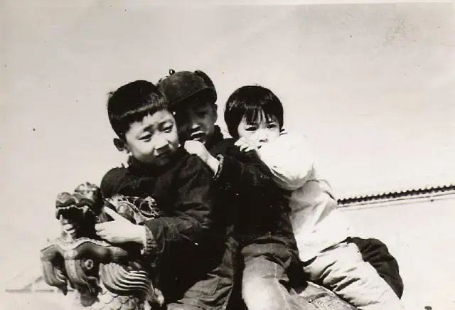 林海雪原小白鸽原型是谁,林海雪原中谁救了小白鸽