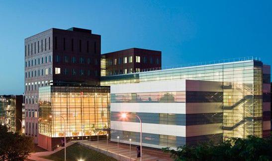 阿丽塔票房夺冠,香港票房阿丽塔战斗天使三连冠