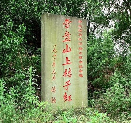 在敌人眼中红军是怎样的,围剿红军的川军将领