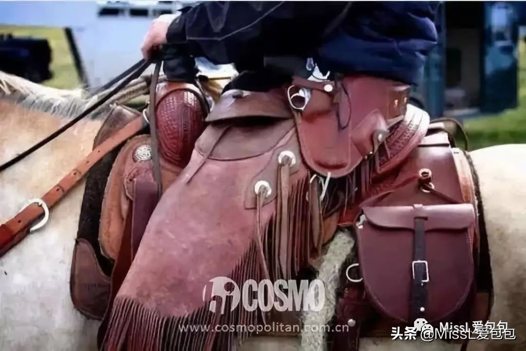 diorsaddle包全金,diorsaddle大包