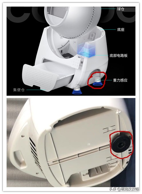 如何诱导猫咪使用智能猫砂盆,为什么智能猫砂盆不支持小猫使用