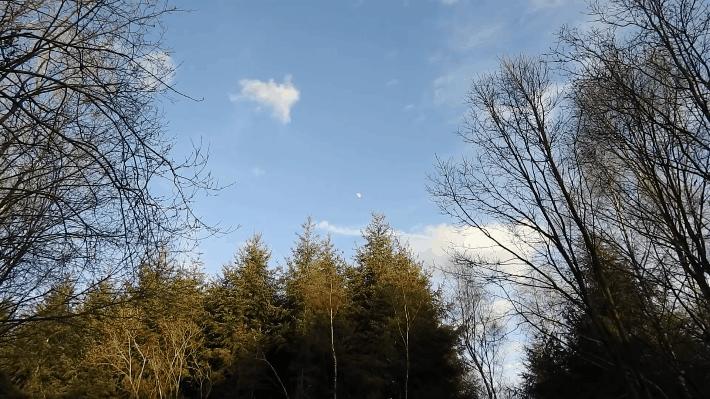 数字变焦和光学变焦对比,光学变焦和数码变焦哪个更清楚