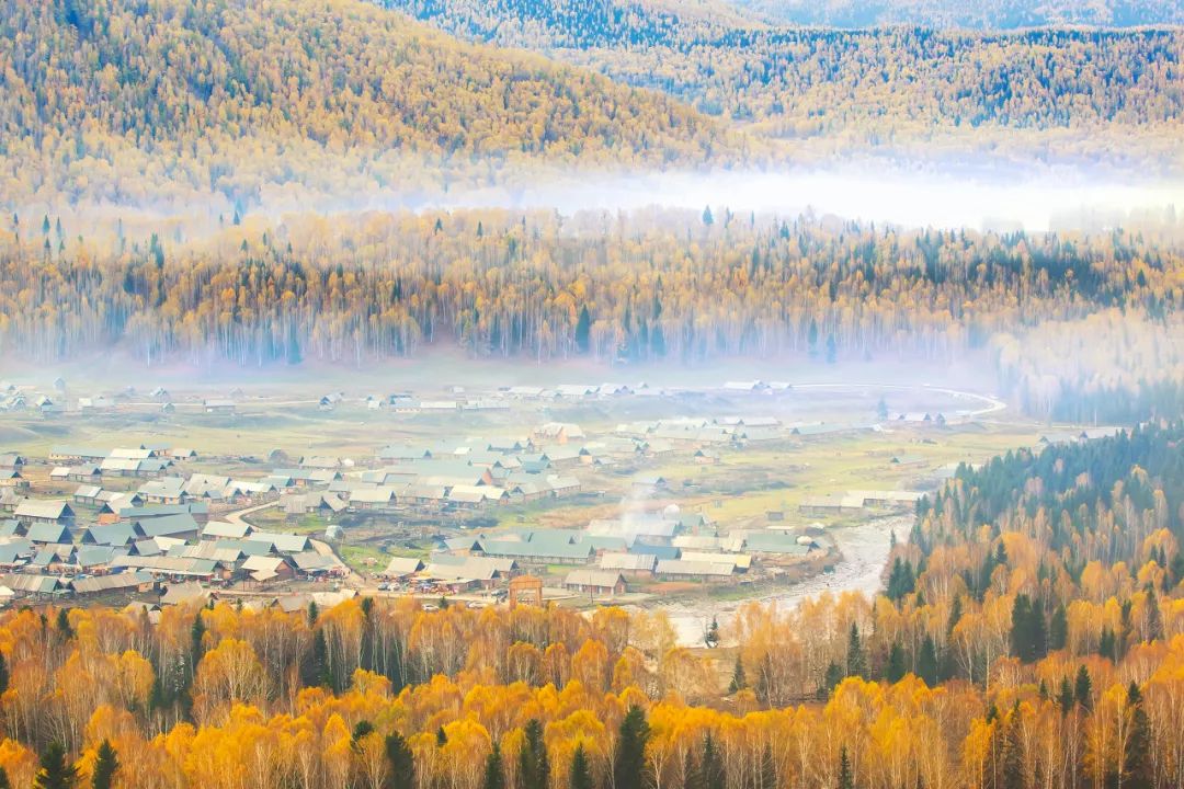 在最美的季节去了呼伦贝尔,一次浪漫的旅行呼伦贝尔