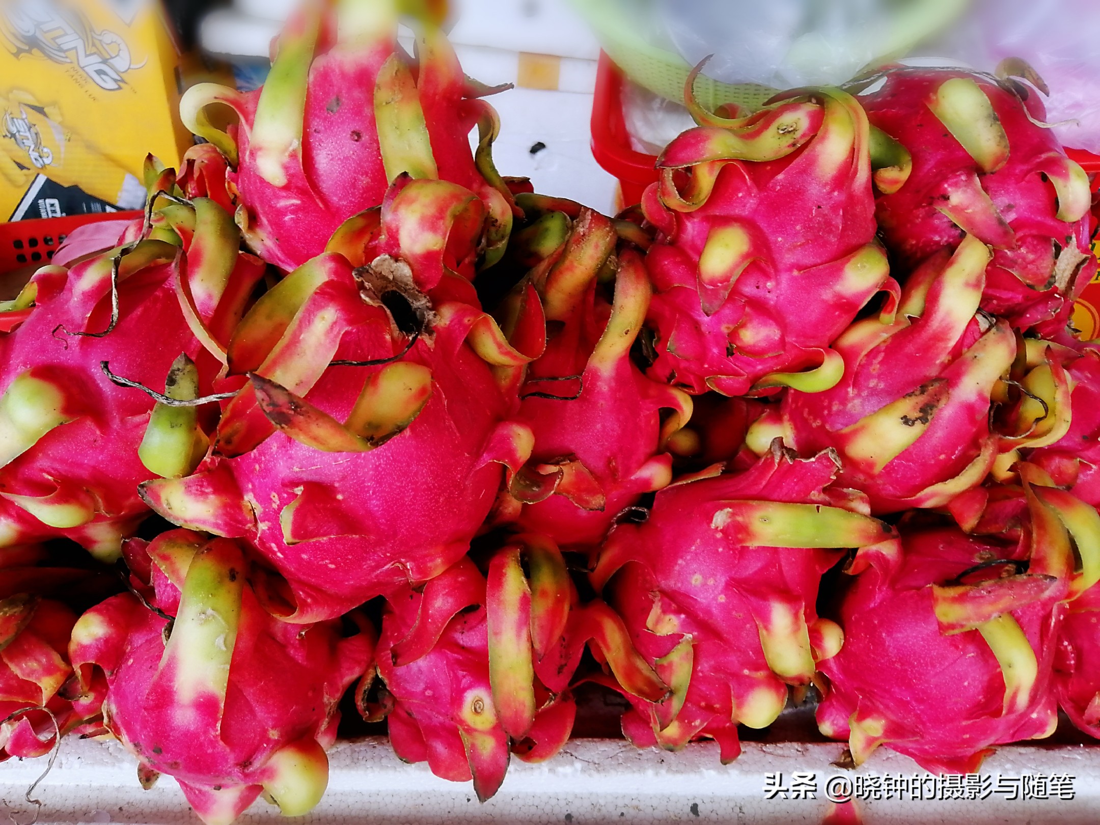 越南哪些水果贵,越南都有哪些好吃的水果