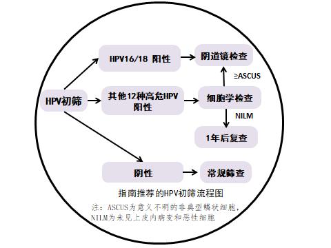 HPV阳性不治疗它会不会自己转阴,31hpv阳性要治疗不