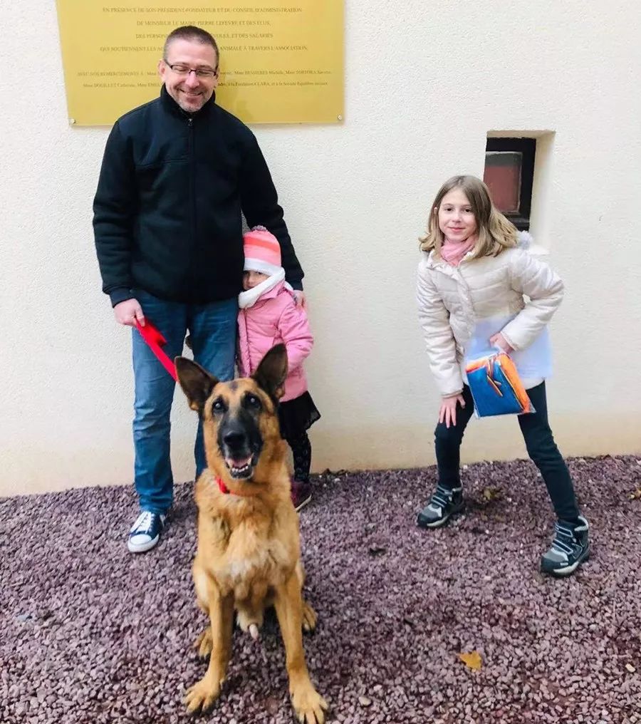 救流浪狗的真实记录,一外国人来中国救助流浪狗