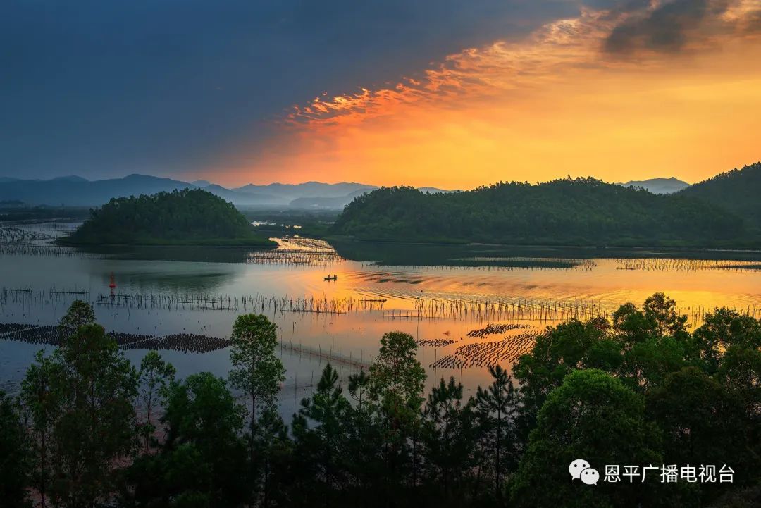 恩平拍客郑君文：用快门定格家乡变迁