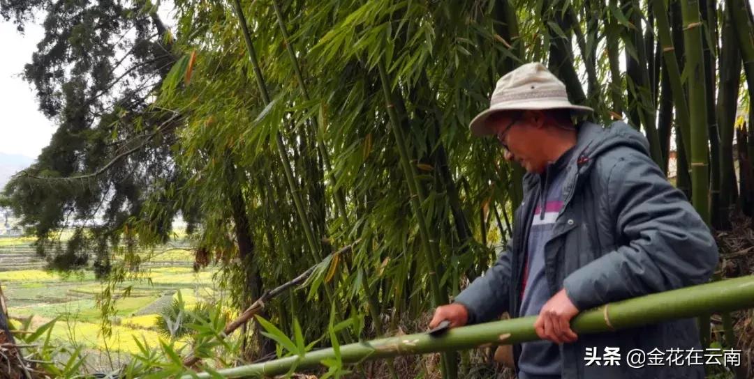正月十五秦淮河花灯,人山人海太热闹了正月十五闹花灯