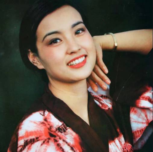 金星秀刘晓庆陈国军姜文,陈国军刘晓庆与姜文