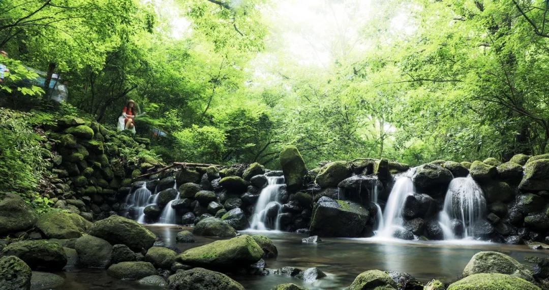梅雨时节的铁山寺,这里藏着最美的风景