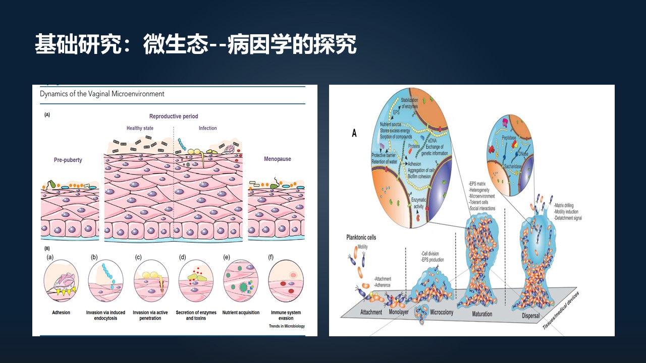 肖冰冰的小视频,肖冰冰讲的12生肖