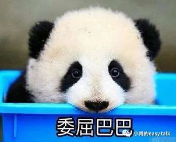 盘点奢品圈里的小欢乐（二）-衣食父母篇