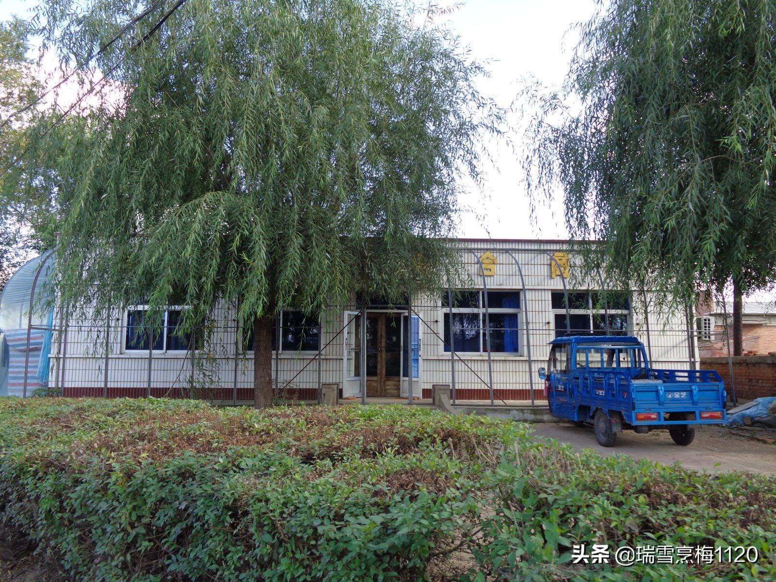 沈北新区依路村,沈北新区马刚乡地图