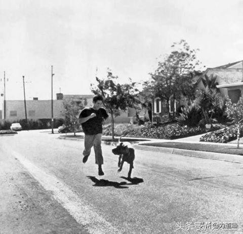 格斗界举足轻重的人物评价李小龙,史泰龙回忆李小龙的功夫有多厉害