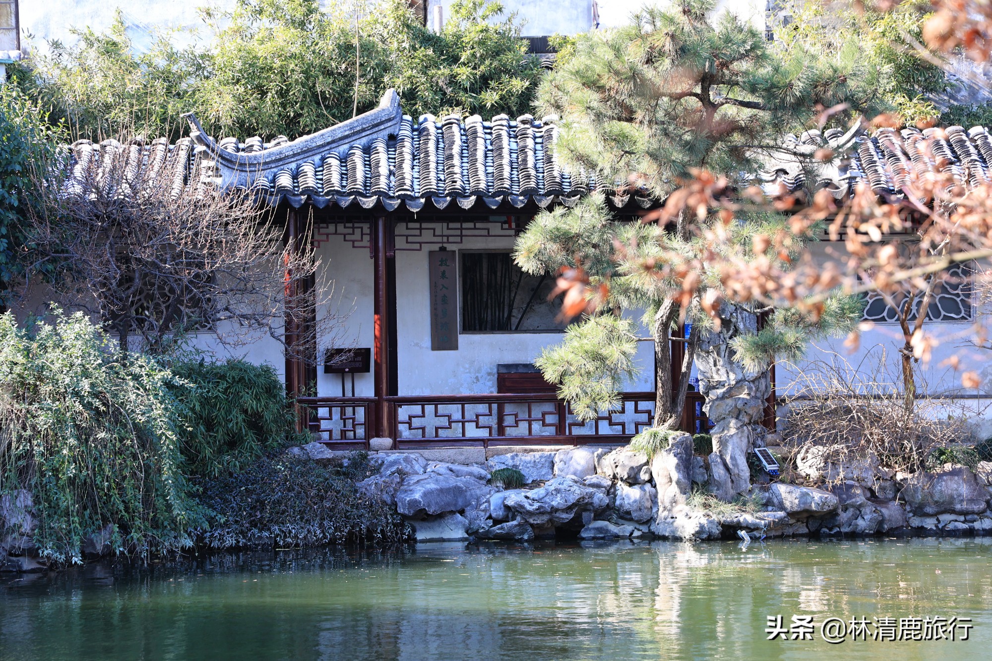苏州园林喝茶的地方,苏州西山观雨喝茶好去处