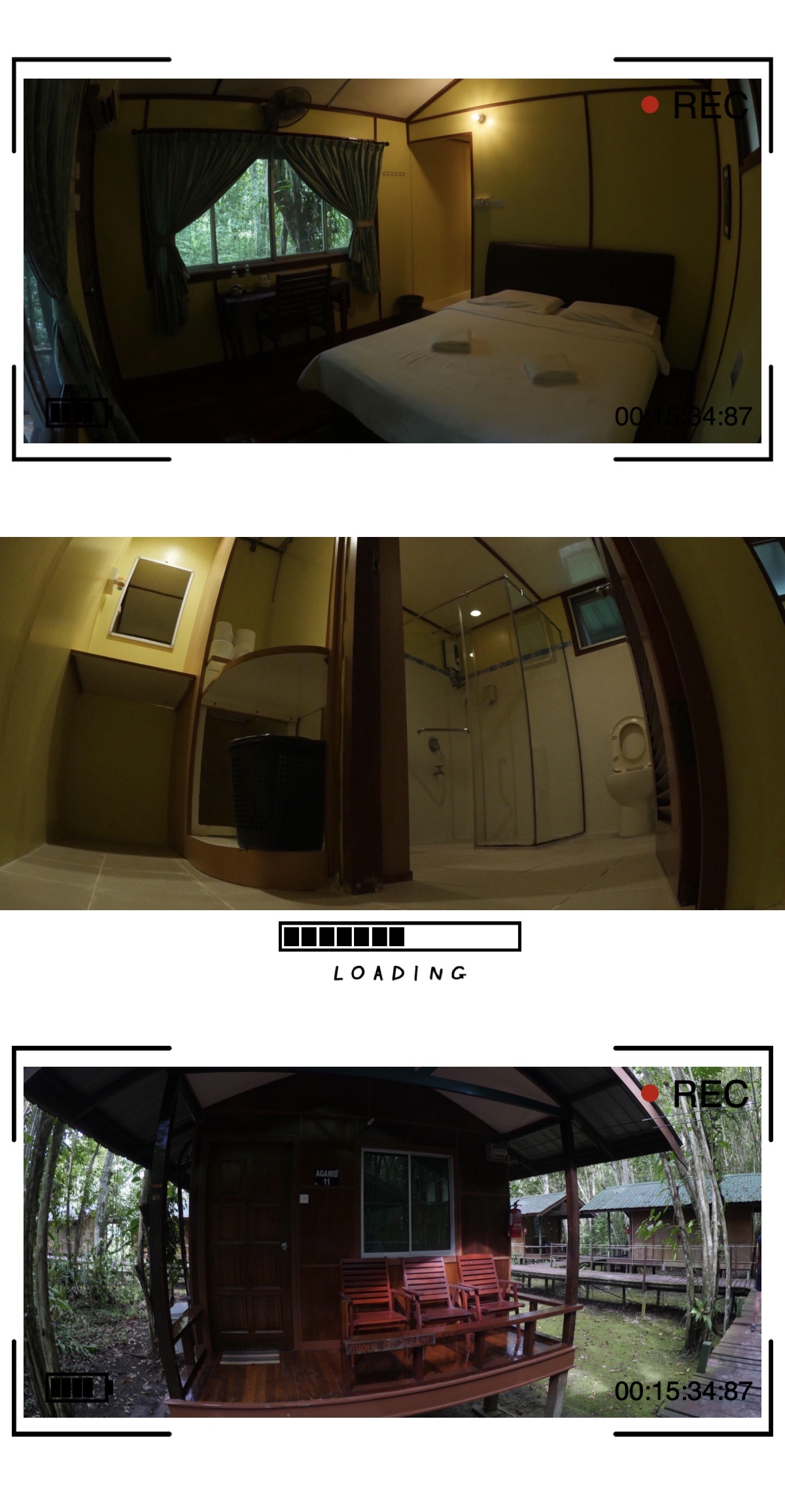 婆罗洲丛林危险,夜宿深山老林防野兽袭击