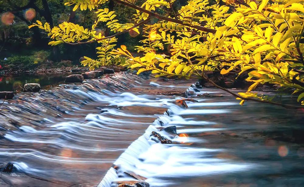 秋天的杭州自驾游,杭州秋冬自驾