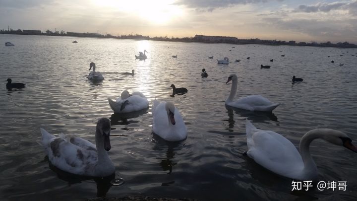 俄罗斯人的真实生活是什么样的,俄罗斯是个怎样的国家