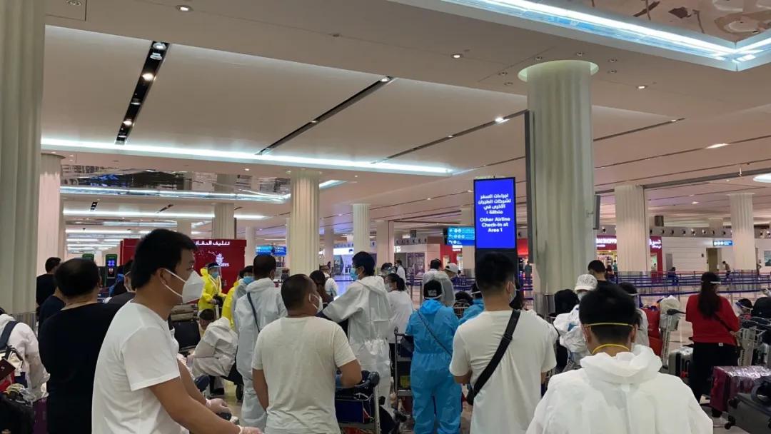 迪拜回国的核酸检测报告,迪拜华人日记