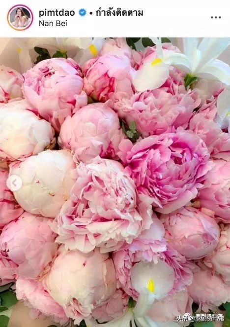 「泰国娱乐」PorsheSaran送奢侈礼物给新女友DaoPimthong庆生