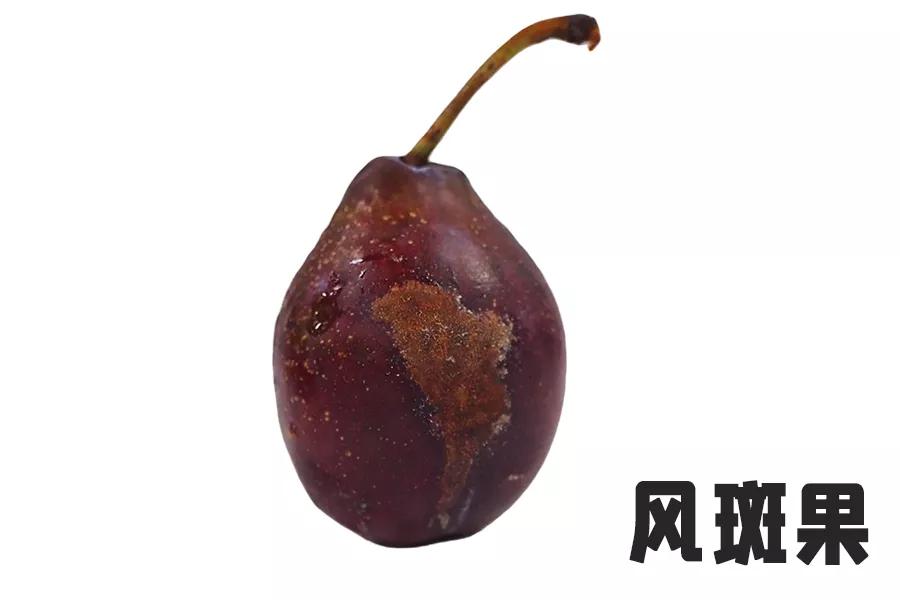 *疆新**西梅怎么选!分选标准在这里了