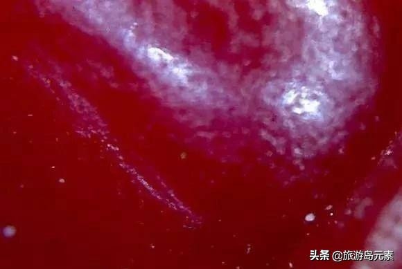 红珊瑚怎么看真伪,红珊瑚最低折扣多少