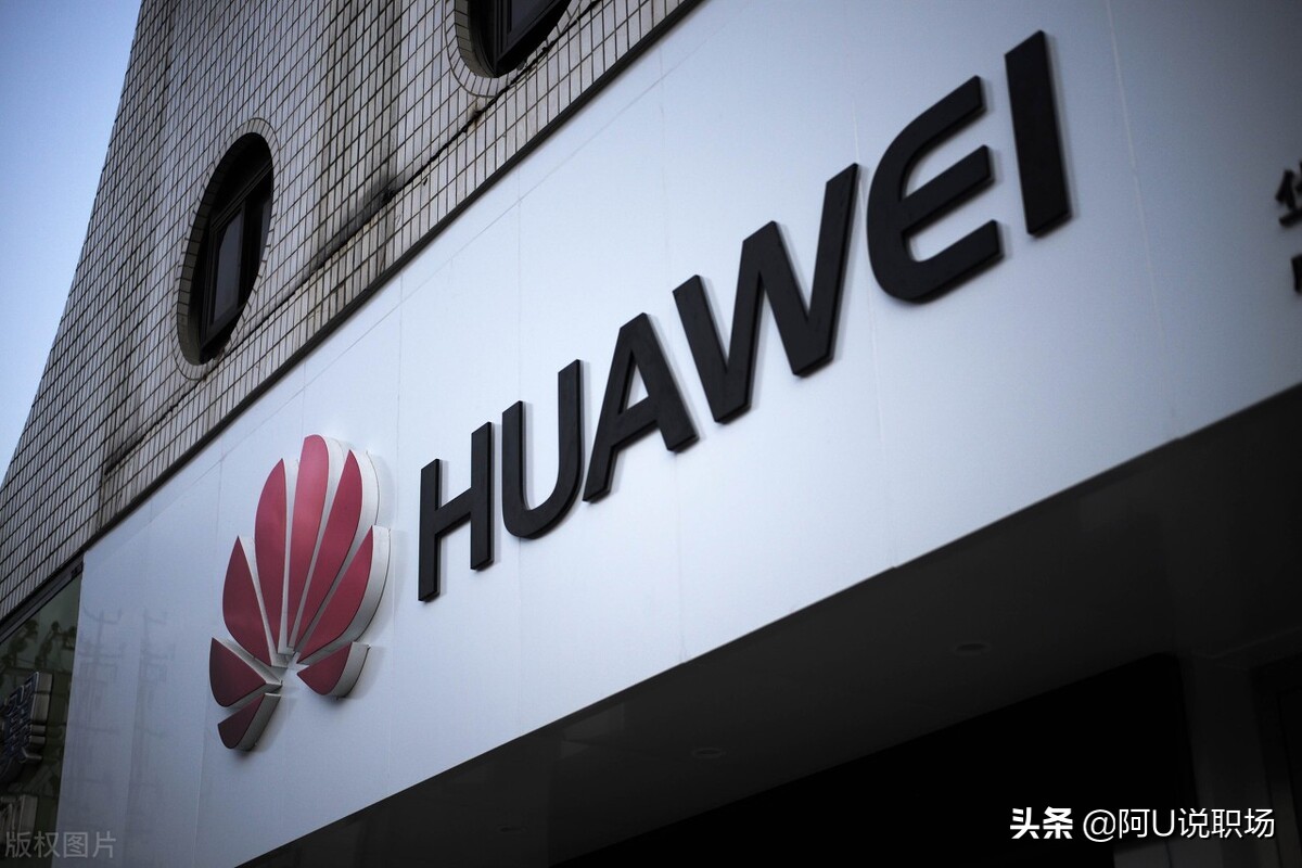 任正非的管理思想和华为经验,任正非洞察