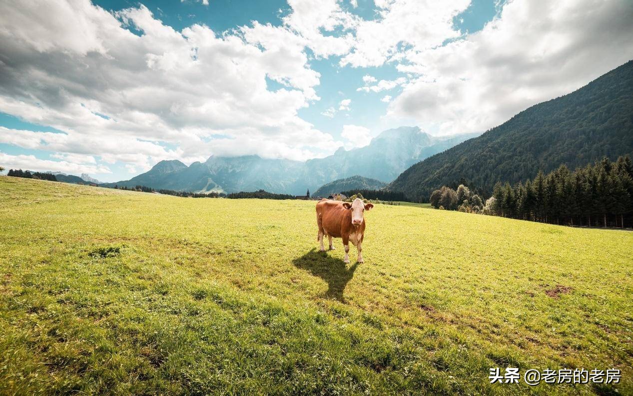 电视投影仪激光电视怎么选,选激光电视还是投影仪