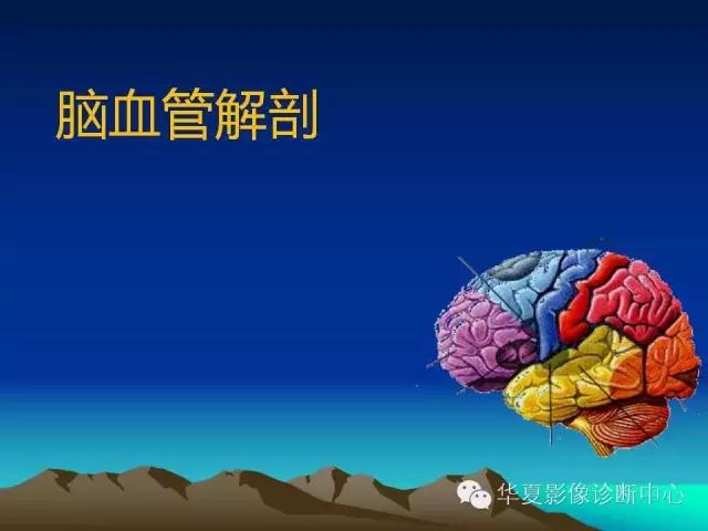 小脑血管解剖分段,脑血管影像解剖讲解