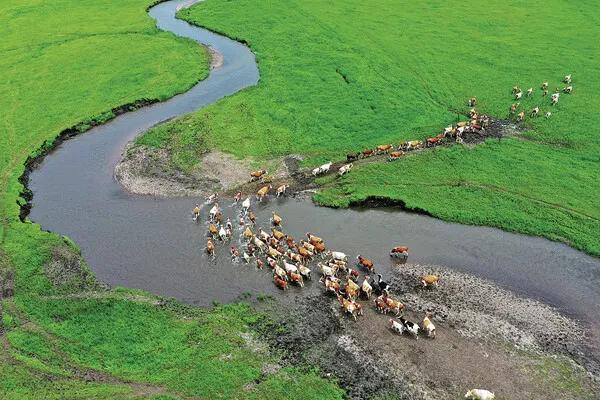 内蒙古兴安盟旅游行业,兴安盟产业发展