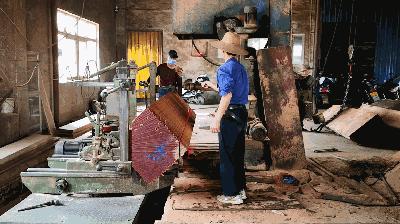 木皮染色材料视频,常见天然木皮