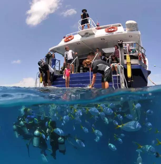 去澳大利亚需要学会什么技能,第一次出国去澳大利亚怎么玩