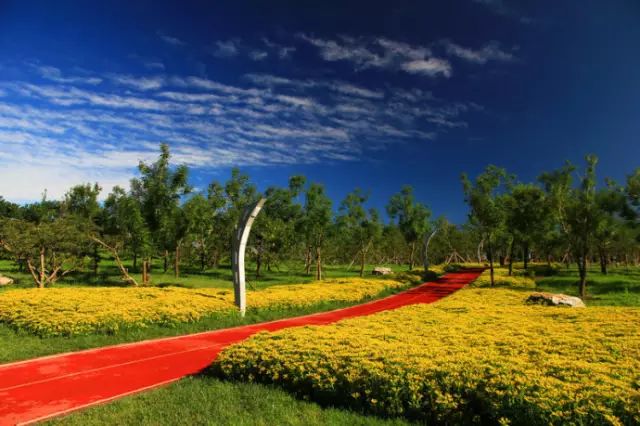 北京房山团建踏青地点推荐,北京房山春季旅游最佳去处