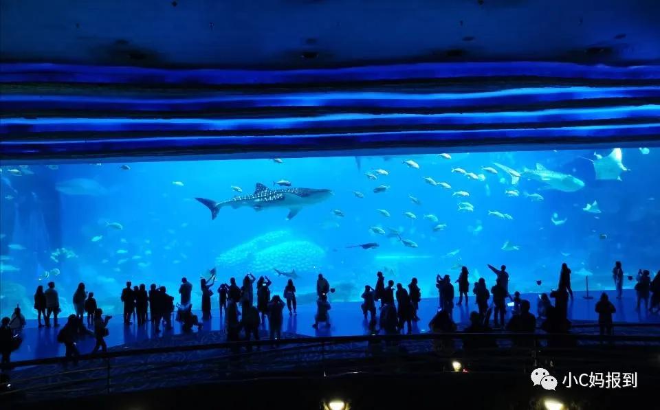 珠海长隆旅游攻略吃住一体,带孩子去珠海长隆攻略