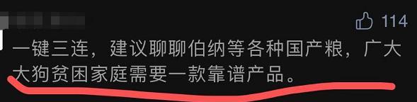 低价狗粮测评,低端质量好的狗粮