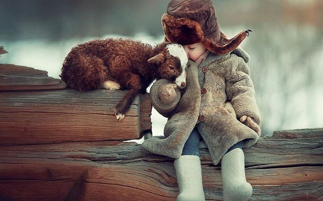 钟南山院士说养狗能增强免疫力,钟南山院士谈养宠物预防哮喘