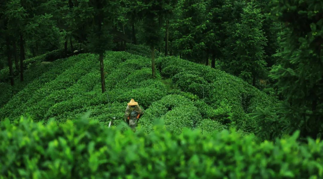 四川绝美风景酒店,四川旅游十大必去酒店推荐