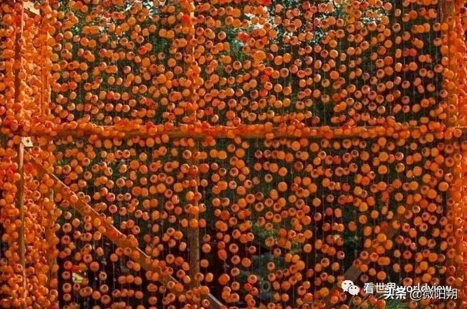 广西人丁最旺的地方,广西含硒最多的地方