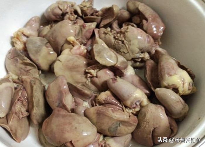 猪肝钓鲫鱼最佳时间,冬钓奶鲫技巧