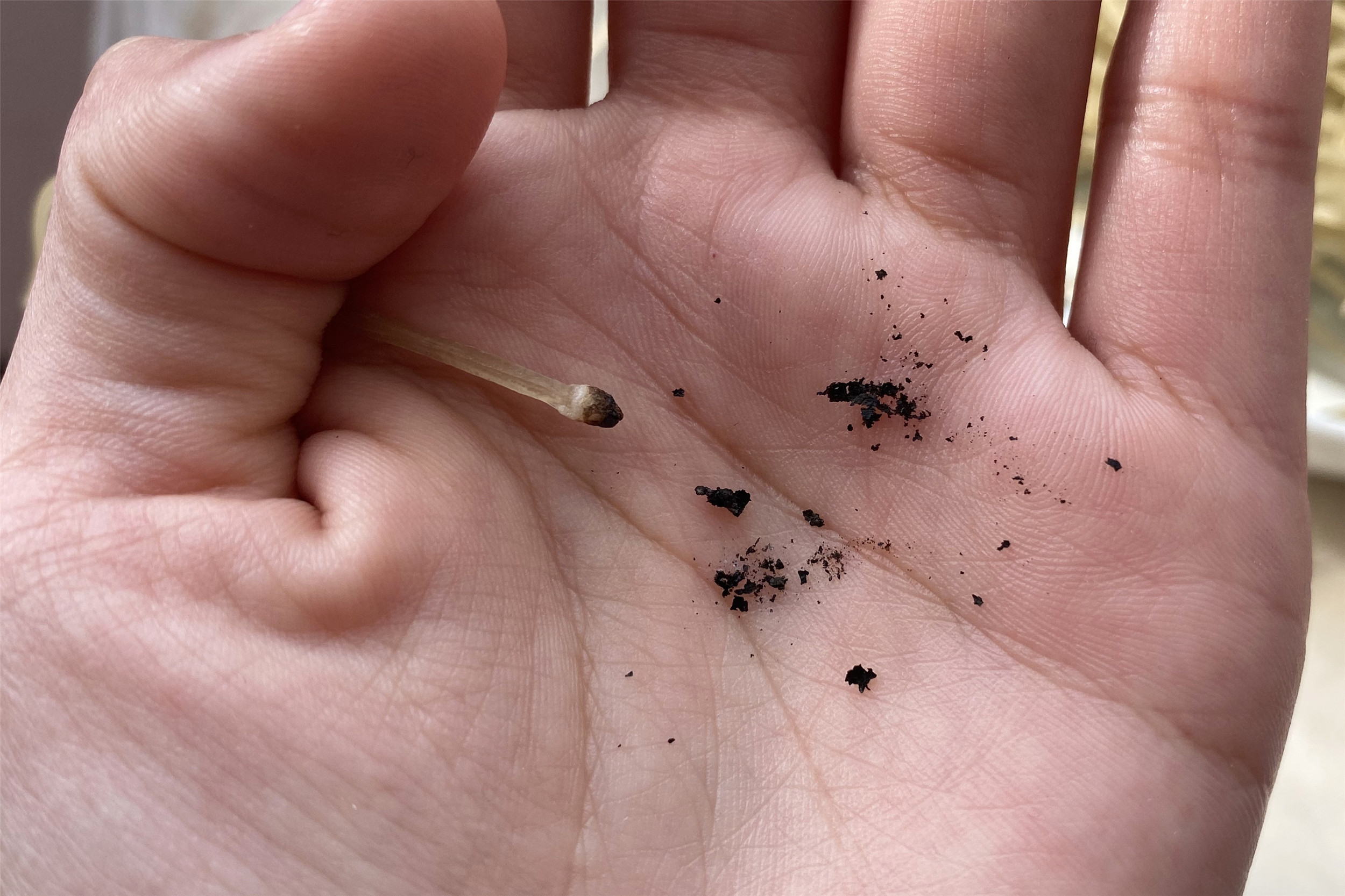 买哪种粉条比较安全,网上买的粉条很便宜什么原因