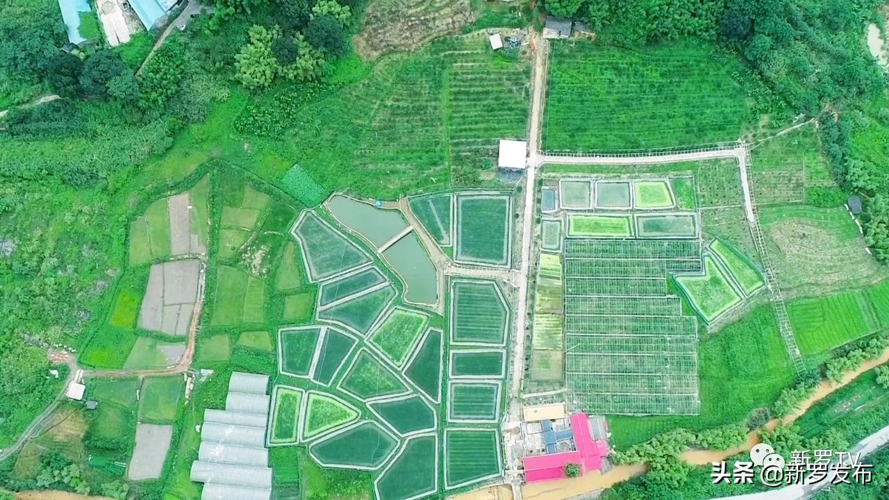 食尚岩味：红心芭乐