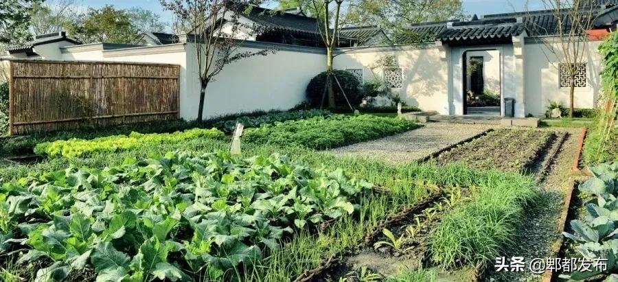 红光新城西安市,红光新城