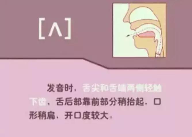 48个国际音标发音清晰口型示范,48个国际英语音标发音表及口型
