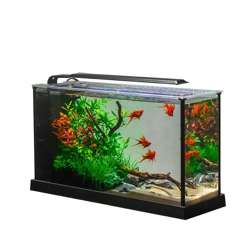 新手养鱼要挑什么样的鱼缸,养鱼新手老手怎么选择鱼缸